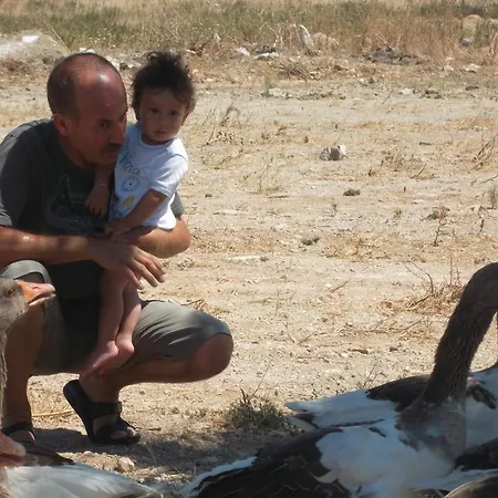 Lägenhetshotell Godik Çeşme