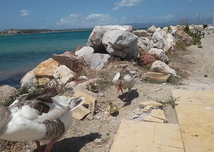 Lejlighedshotel Godik *