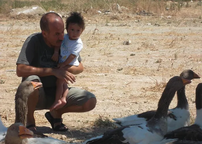 Lejlighedshotel Godik Çeşme